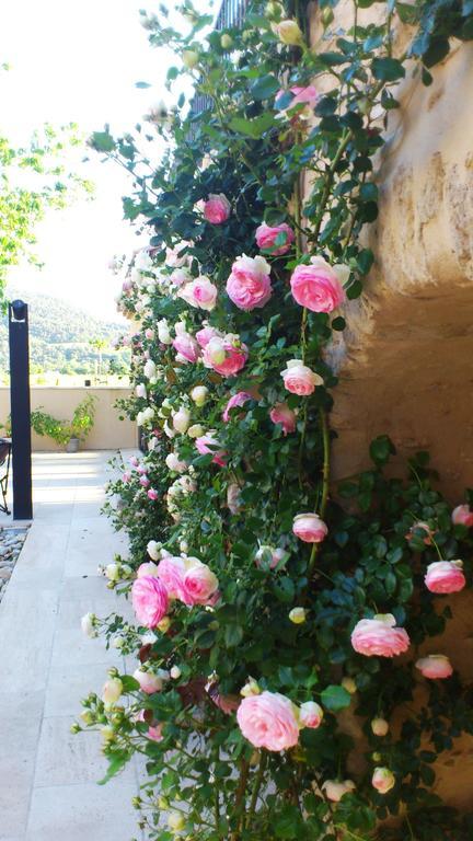 Le Jour Et La Nuit, Maison D'Hotes Vaison-la-Romaine Exterior foto